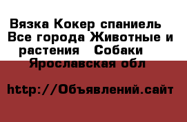 Вязка Кокер спаниель - Все города Животные и растения » Собаки   . Ярославская обл.